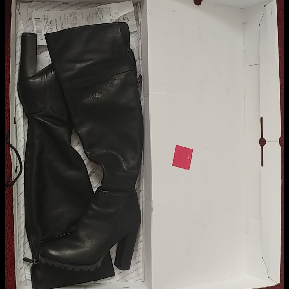 Aldo sambuca boots